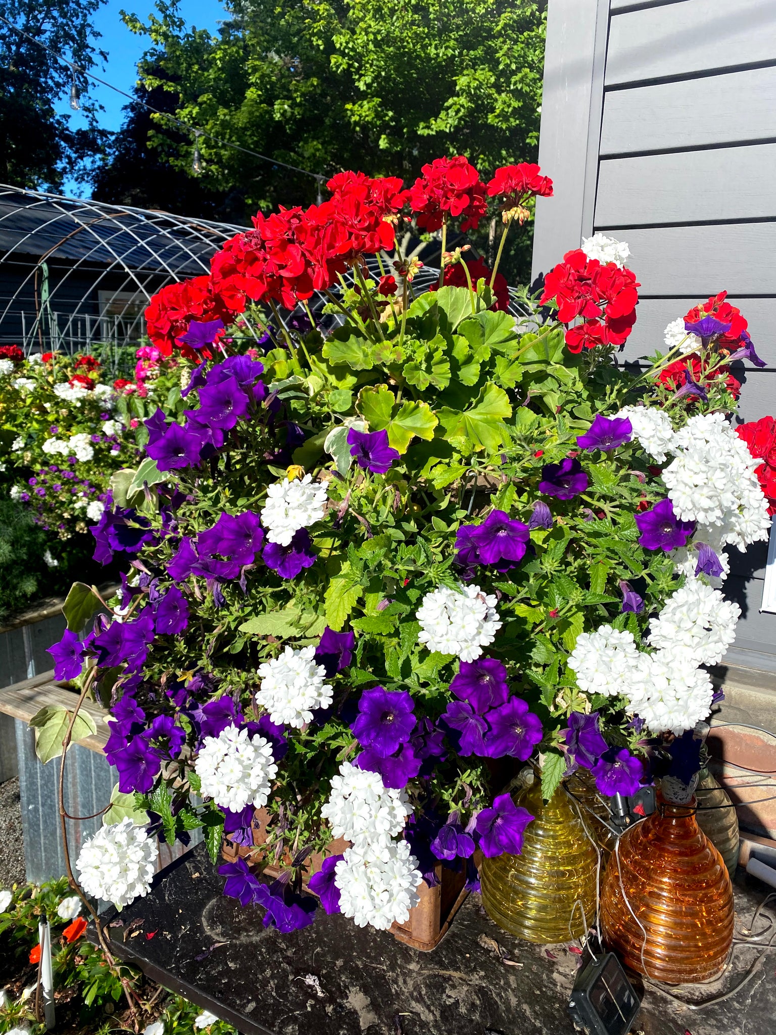 Huge 14 inch basket