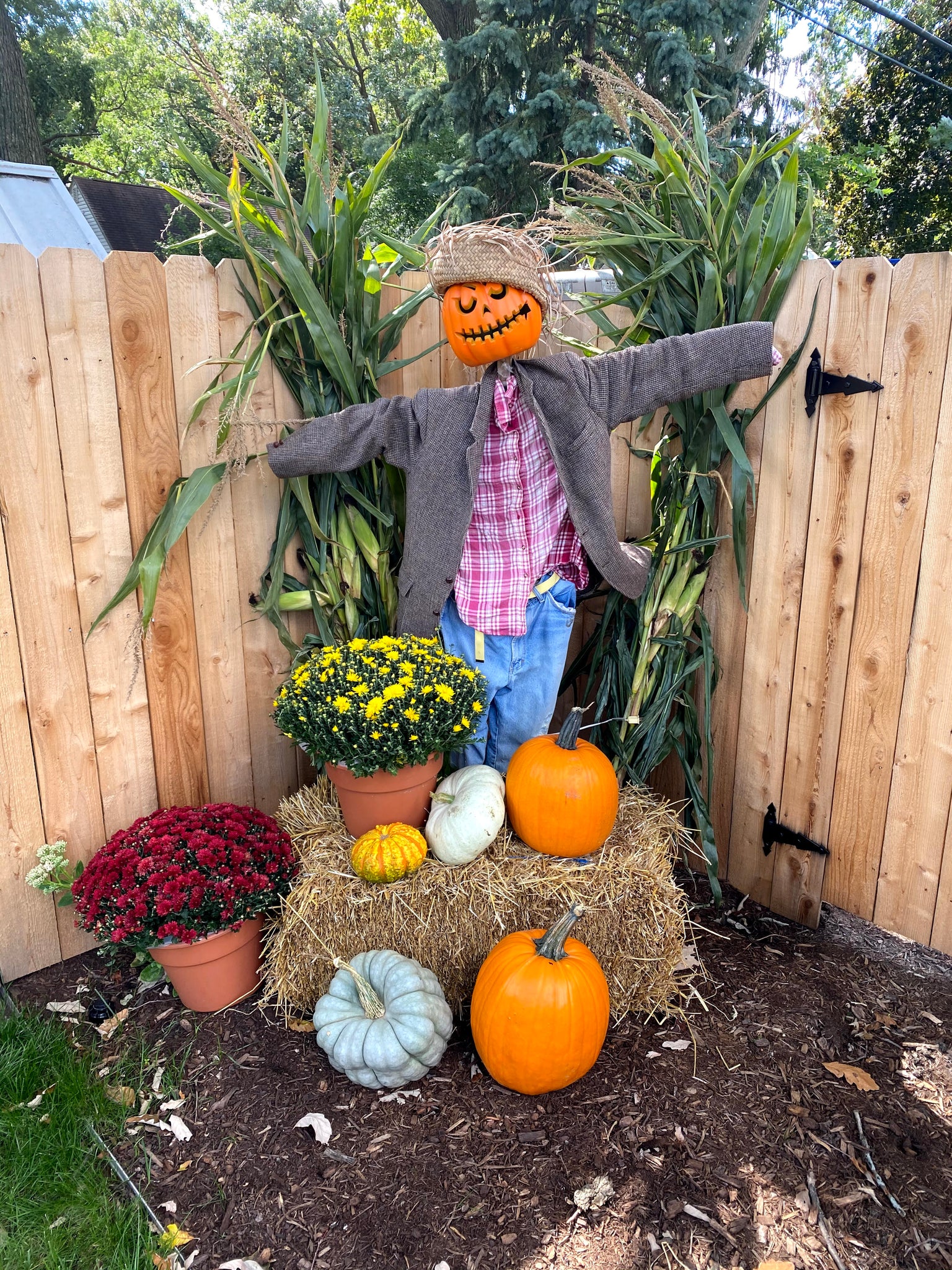 Premium Porch Display