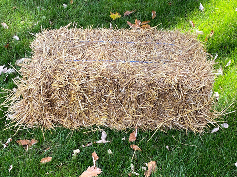 Straw Bale